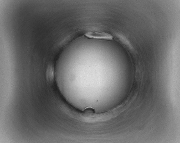 X0000115670021200911191034