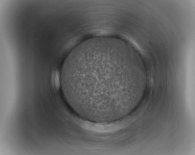 X0000115670022200911191034