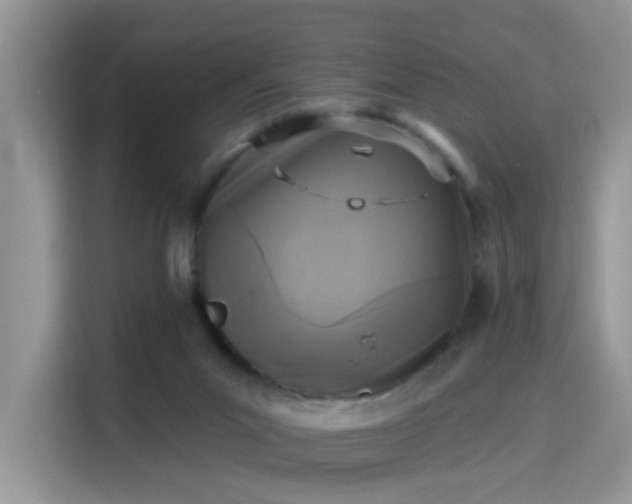 X0000115670023200911191034