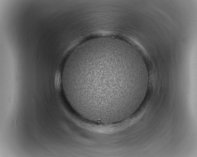 X0000115670024200911191034