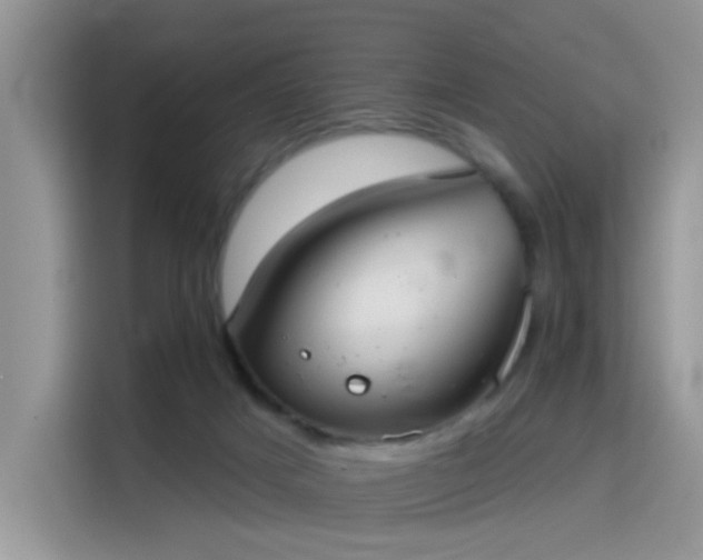 X0000115670025200911191034