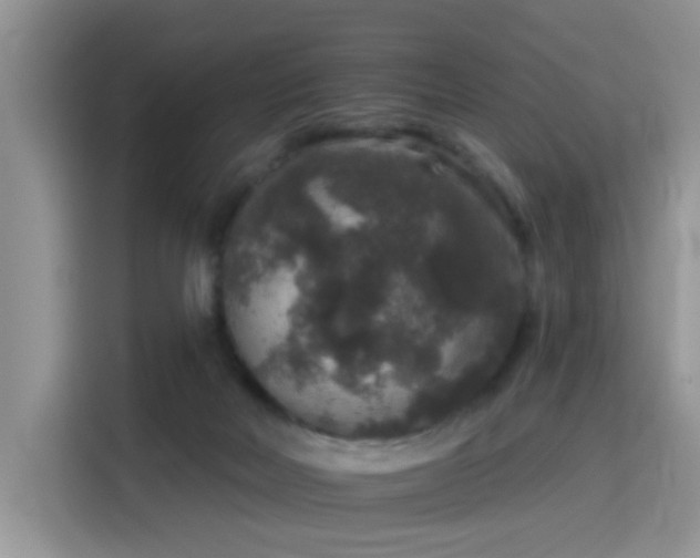 X0000115670026200911191034