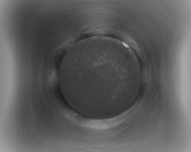 X0000115670029200911191034