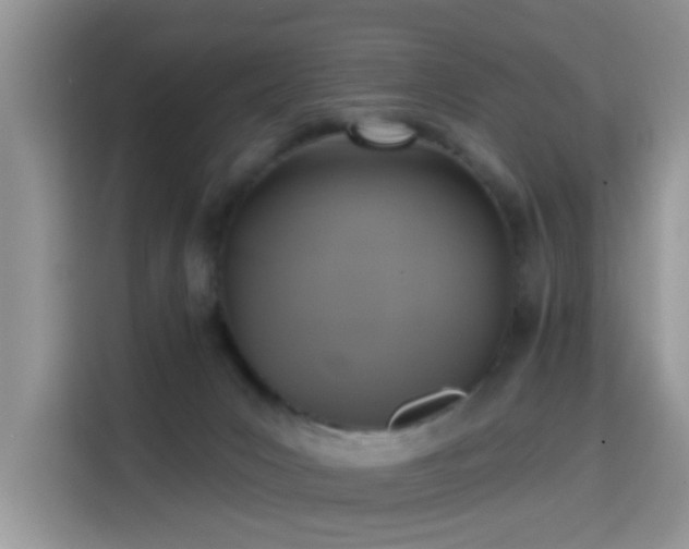X0000115670031200911191034