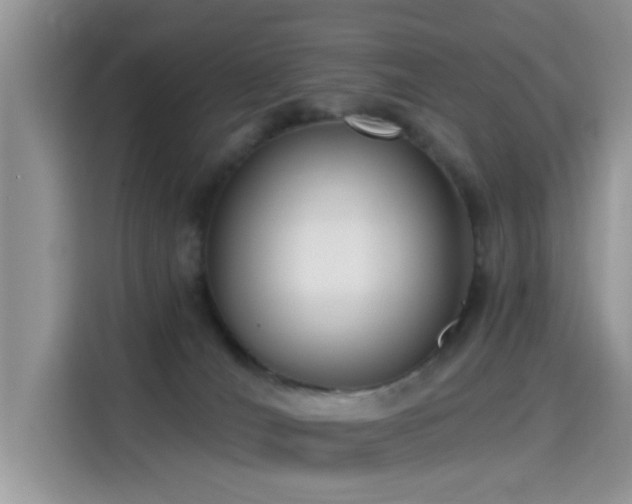 X0000115670036200911191034