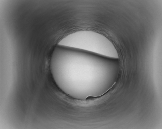 X0000115670037200911191034