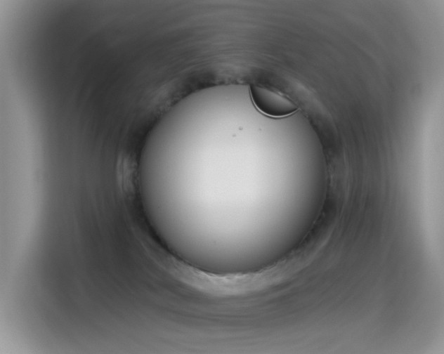 X0000115670038200911191034