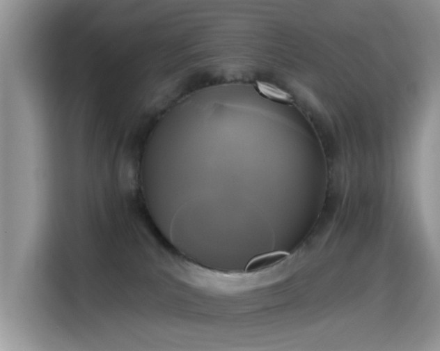 X0000115670039200911191034