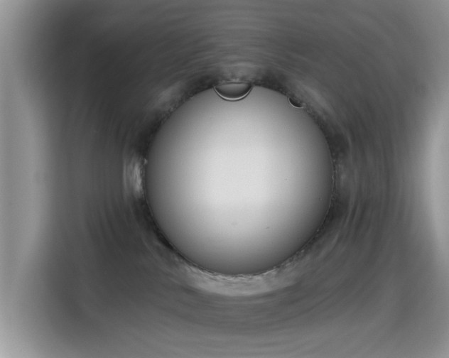 X0000115670042200911191034