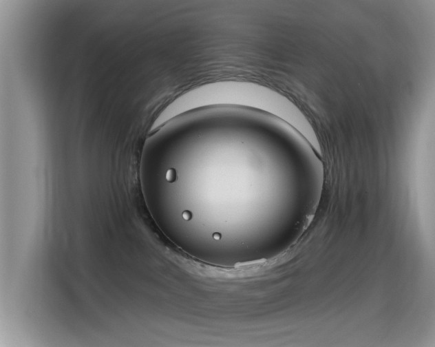 X0000115670043200911191034