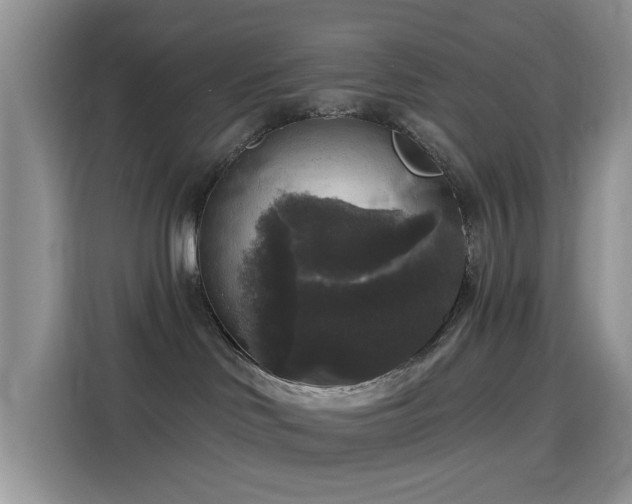 X0000115670046200911191034