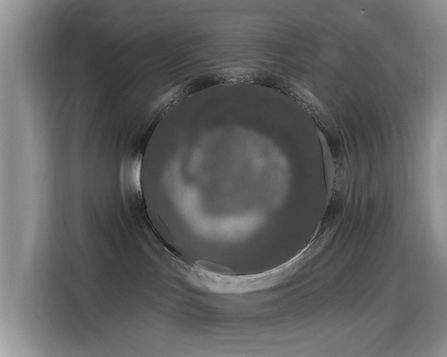X0000115670047200911191034