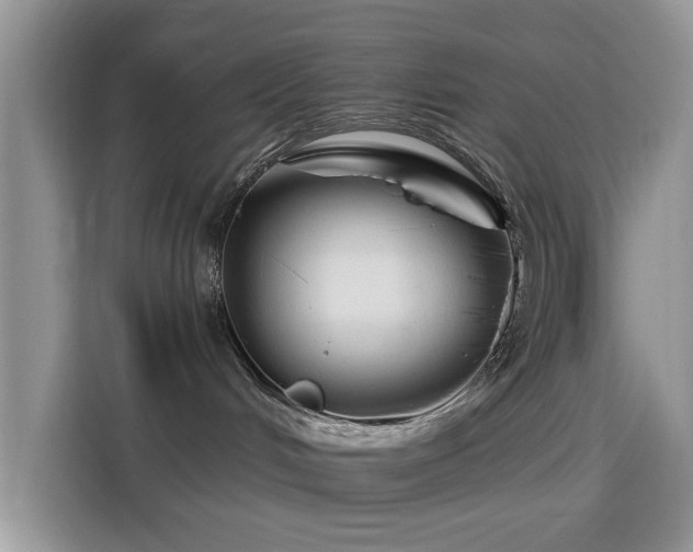 X0000115670048200911191034