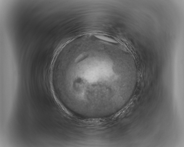 X0000115670049200911191033