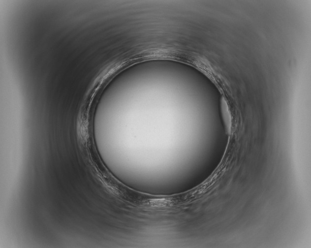 X0000115670050200911191033