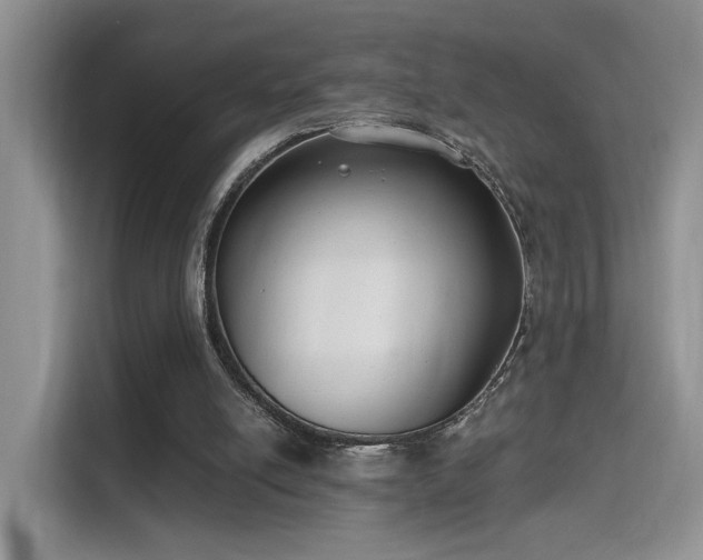X0000115670054200911191033