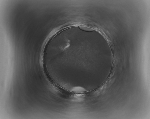 X0000115670055200911191033