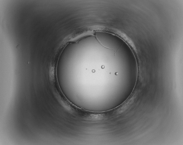 X0000115670057200911191033