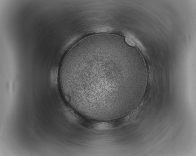 X0000115670058200911191033