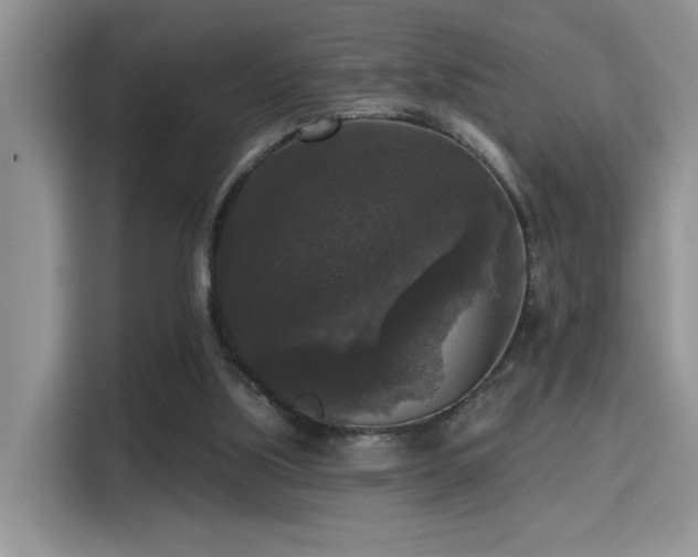 X0000115670059200911191033