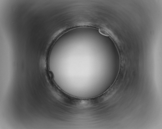 X0000115670060200911191033