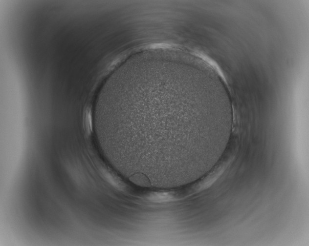 X0000115670061200911191033