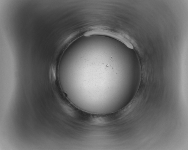X0000115670062200911191033