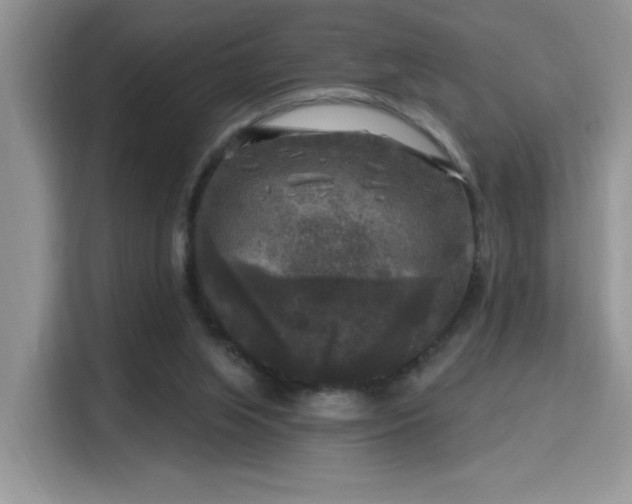 X0000115670063200911191034