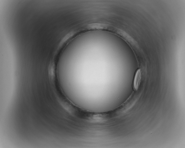 X0000115670064200911191034