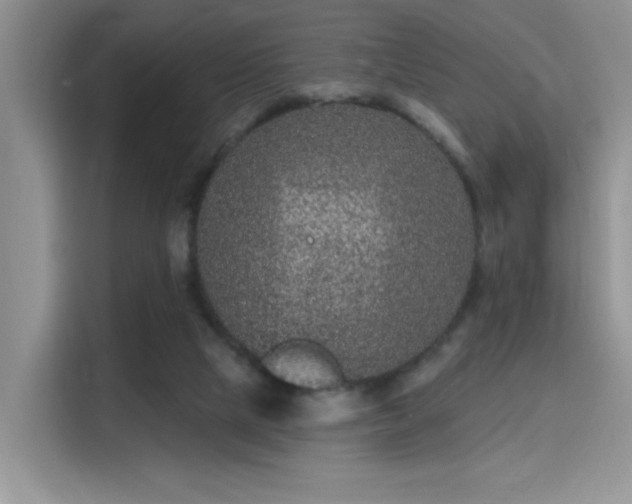 X0000115670065200911191034