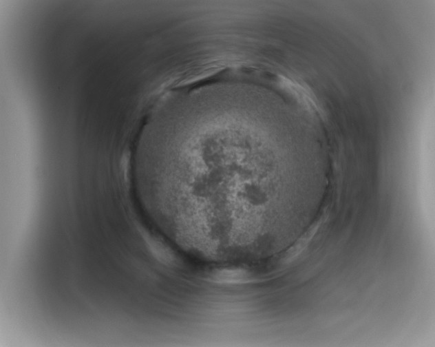 X0000115670066200911191034