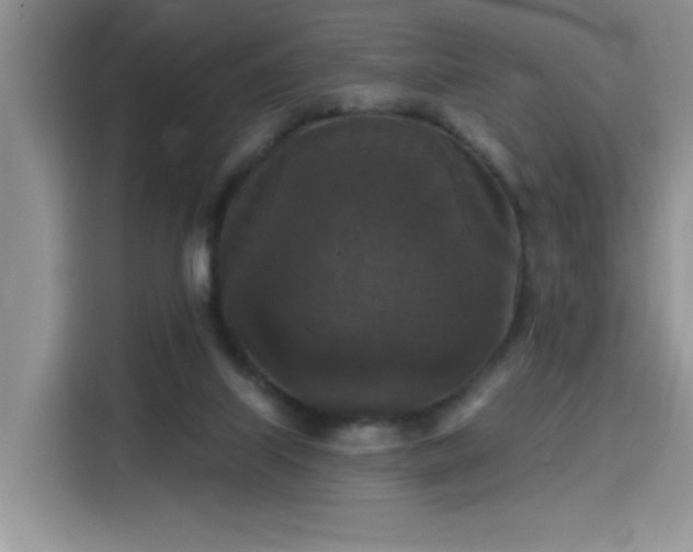X0000115670067200911191034