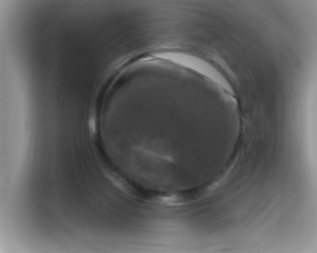X0000115670068200911191034