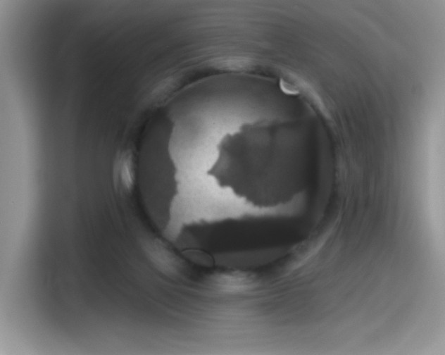 X0000115670069200911191034