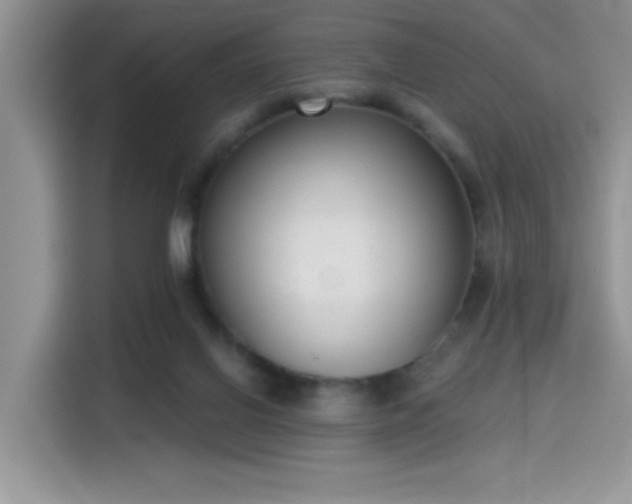 X0000115670070200911191034