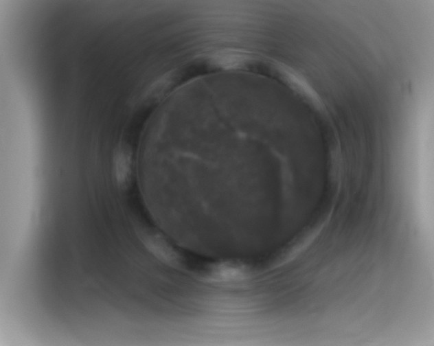 X0000115670073200911191034