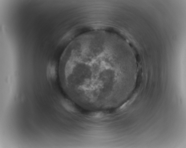 X0000115670074200911191034