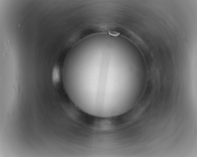 X0000115670075200911191034