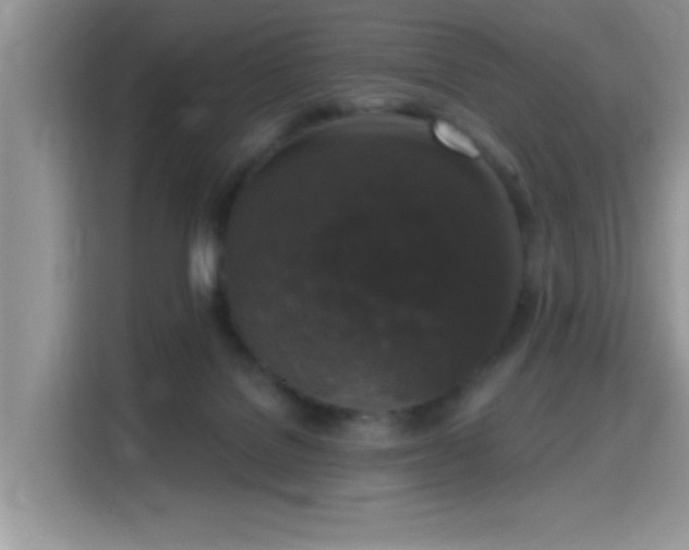 X0000115670076200911191034