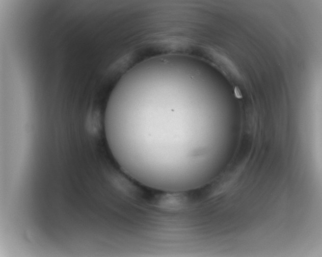 X0000115670077200911191034