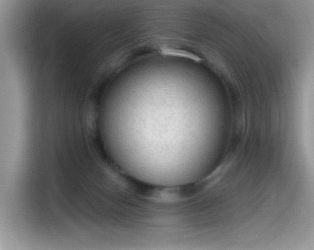X0000115670078200911191034