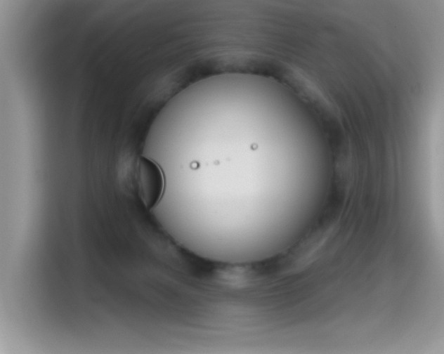 X0000115670079200911191034