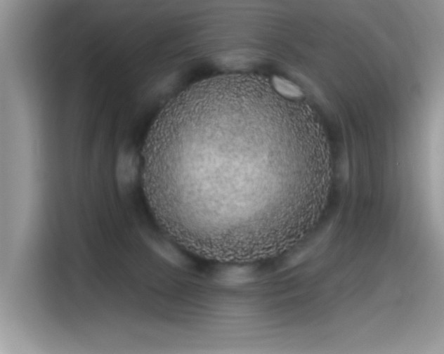X0000115670081200911191034