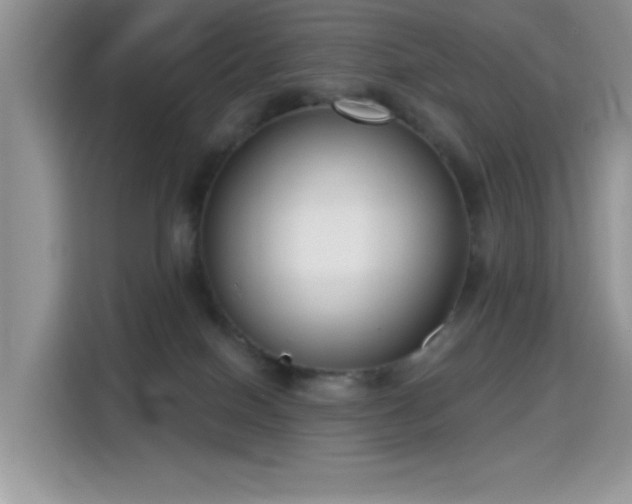 X0000115670086200911191034