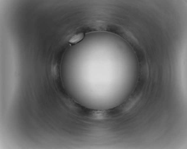 X0000115670088200911191034