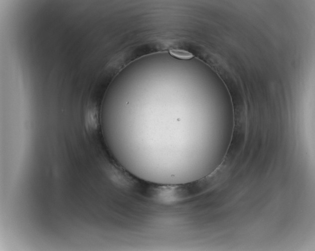 X0000115670090200911191034