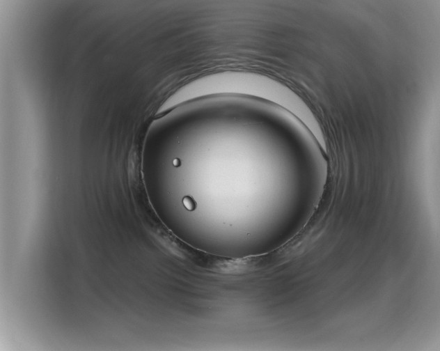 X0000115670092200911191034