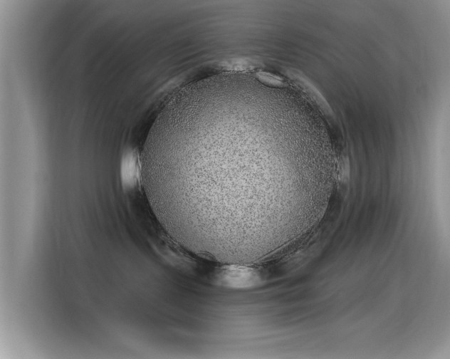 X0000115670095200911191034