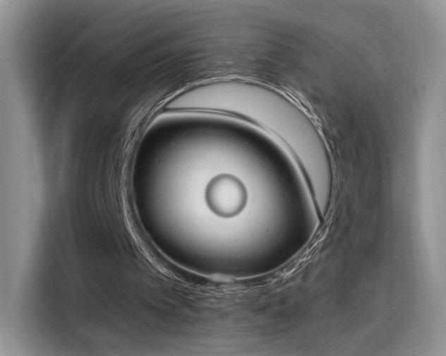 X0000115670097200911191033