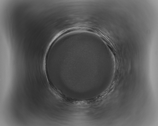 X0000115670100200911191033